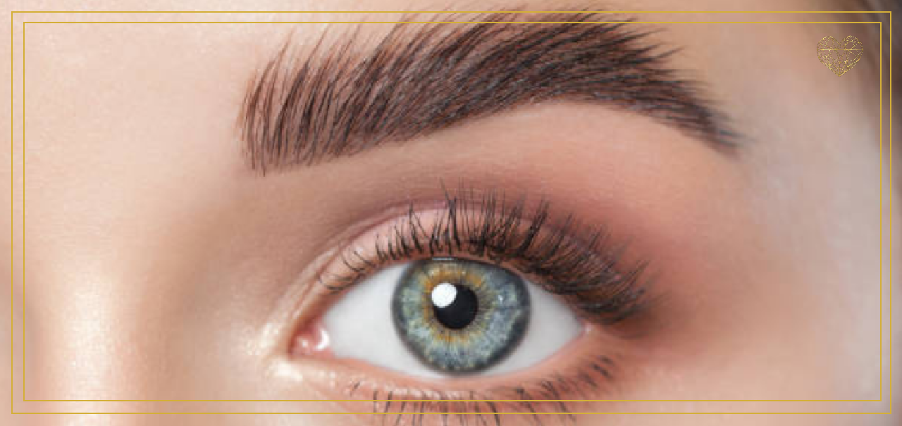 Revitalización de cejas